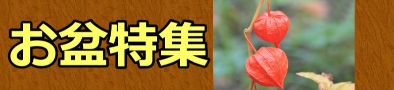 話題 Biz 話題 Biz